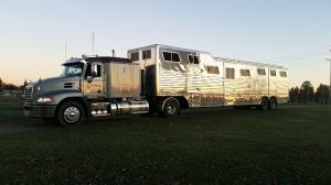 horse shipping and transportation canada us