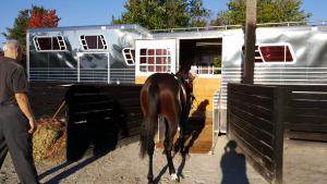 20161009 090034Horse Transportation Canada & USA US import export horses